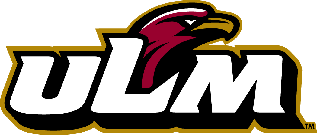Louisiana-Monroe Warhawks 2006-Pres Primary Logo diy fabric transfer